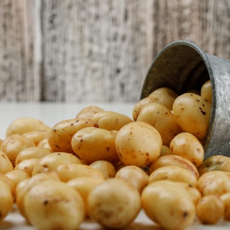 Scattered potatoes from a mini bucket on white and grungy wooden background. side view.